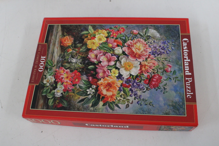 set van 3 Ravensburger en Castorland Puzzels 1000 stukjes – foto 2 – kavel bij GSD Auctions, Zoeterwoude