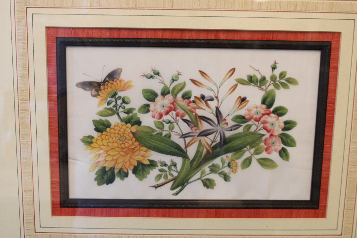 Ingelijste botanische prent met bloemen en vlinder – foto 4 – kavel bij GSD Auctions, Zoeterwoude