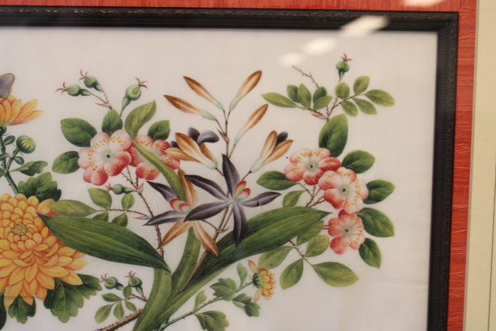 Ingelijste botanische prent met bloemen en vlinder – foto 5 – kavel bij GSD Auctions, Zoeterwoude