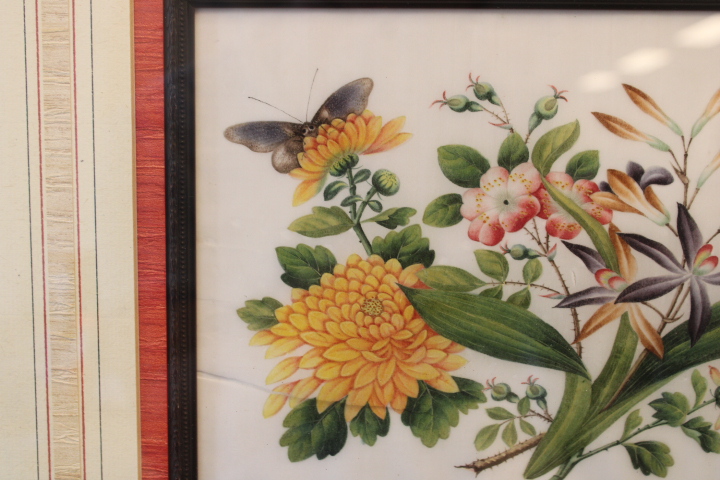 Ingelijste botanische prent met bloemen en vlinder – foto 6 – kavel bij GSD Auctions, Zoeterwoude