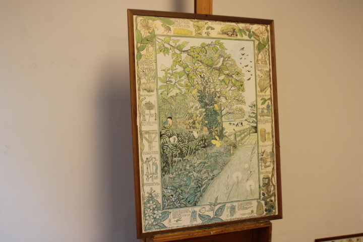 Ingelijste botanische druk met natuurillustraties – foto 2 – kavel bij GSD Auctions, Zoeterwoude