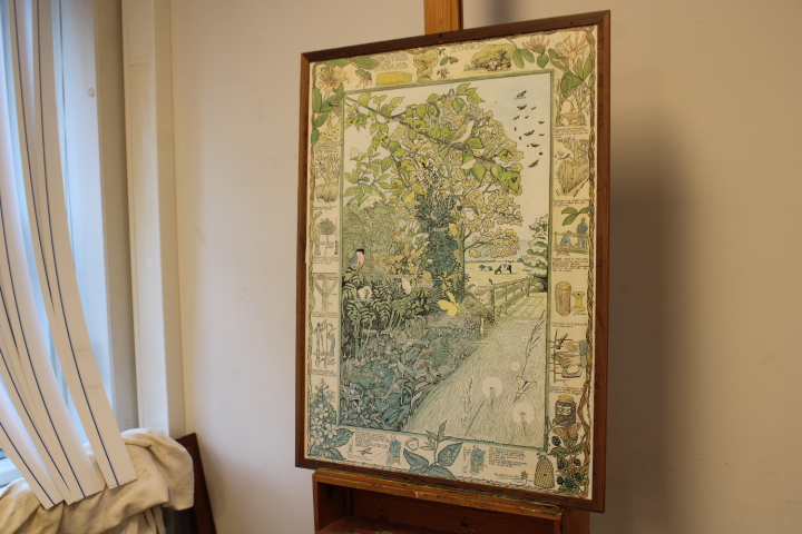Ingelijste botanische druk met natuurillustraties – foto 3 – kavel bij GSD Auctions, Zoeterwoude
