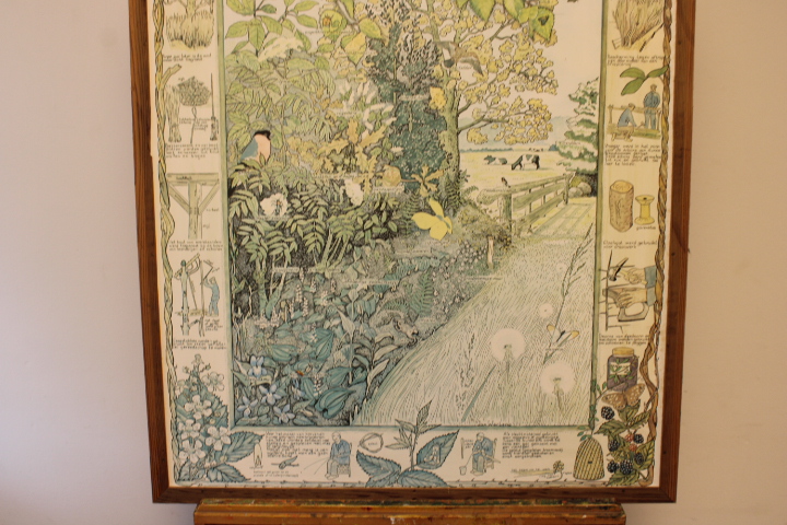 Ingelijste botanische druk met natuurillustraties – foto 5 – kavel bij GSD Auctions, Zoeterwoude