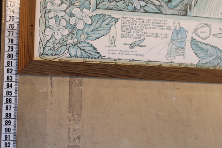 Ingelijste botanische druk met natuurillustraties – foto 12 – kavel bij GSD Auctions, Zoeterwoude