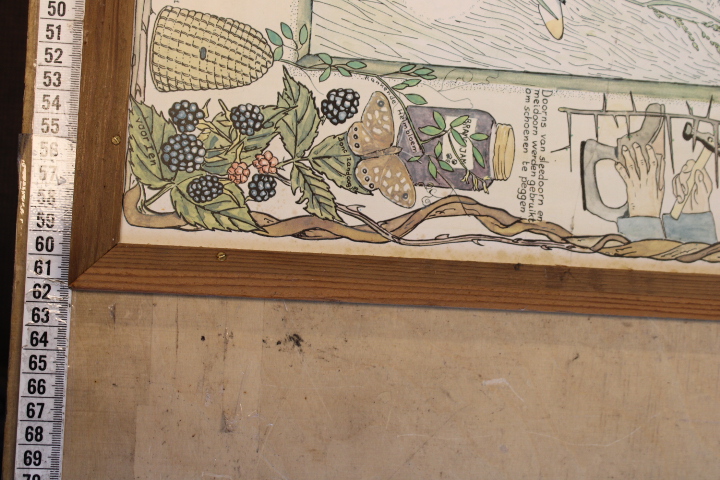Ingelijste botanische druk met natuurillustraties – foto 13 – kavel bij GSD Auctions, Zoeterwoude