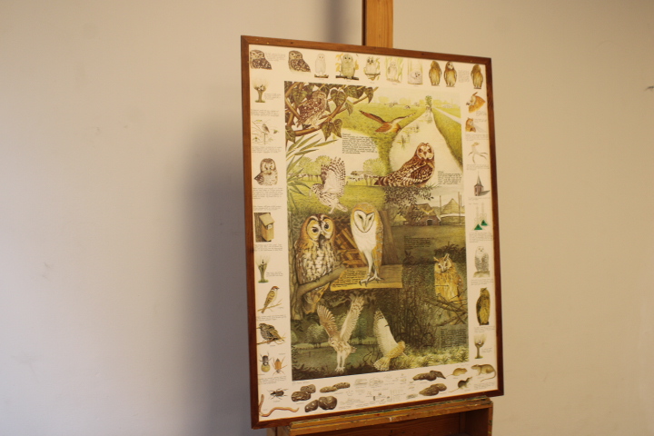 Illustraties van uilen – foto 2 – kavel bij GSD Auctions, Zoeterwoude