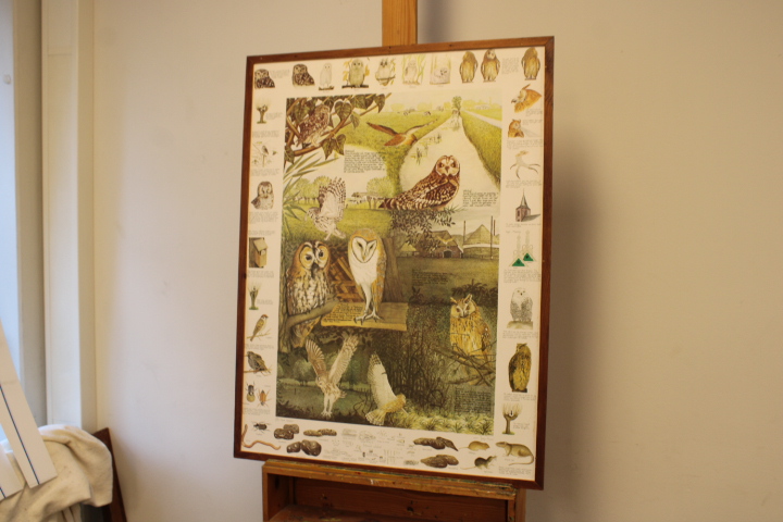 Illustraties van uilen – foto 3 – kavel bij GSD Auctions, Zoeterwoude