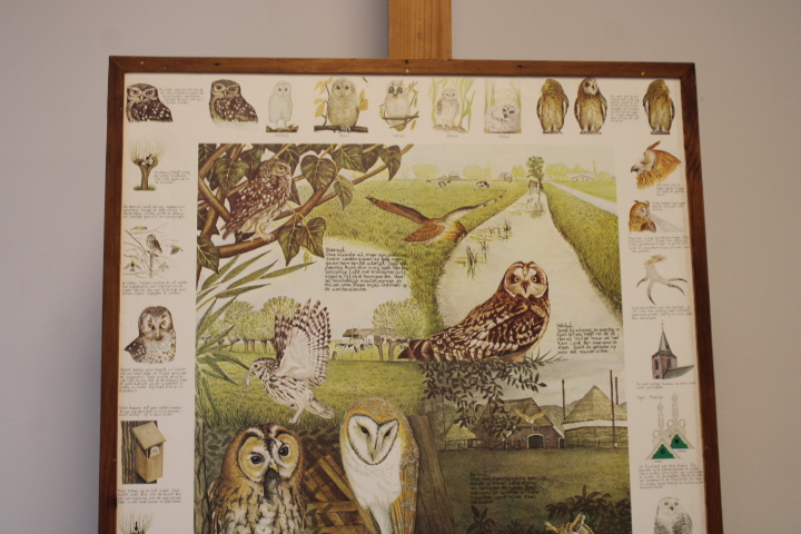 Illustraties van uilen – foto 4 – kavel bij GSD Auctions, Zoeterwoude