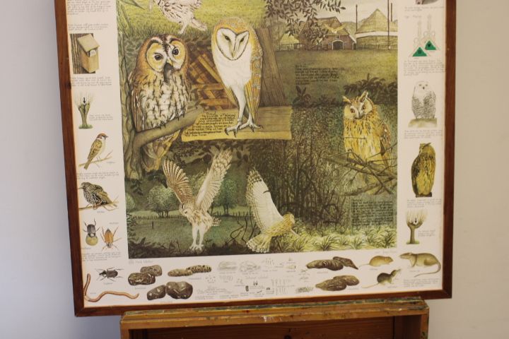 Illustraties van uilen – foto 5 – kavel bij GSD Auctions, Zoeterwoude