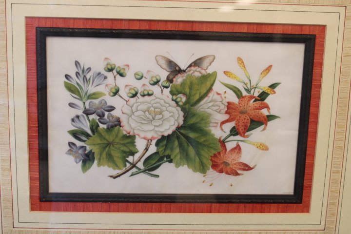 Ingelijste botanische prent met bloemen – foto 5 – kavel bij GSD Auctions, Zoeterwoude