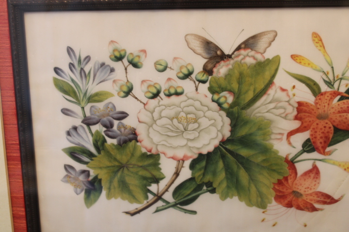 Ingelijste botanische prent met bloemen – foto 7 – kavel bij GSD Auctions, Zoeterwoude