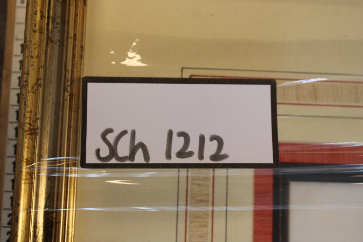 Ingelijste botanische prent met bloemen – foto 14 – kavel bij GSD Auctions, Zoeterwoude