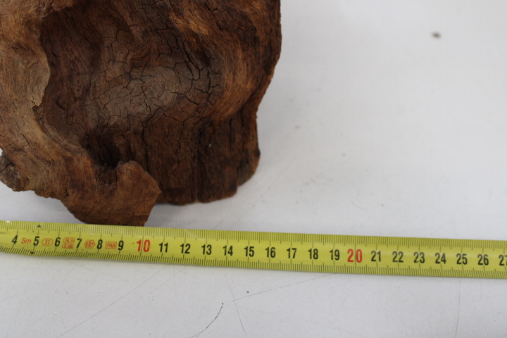 Opgezette marter op houten voet - Taxidermi – foto 18 – kavel bij GSD Auctions, Zoeterwoude