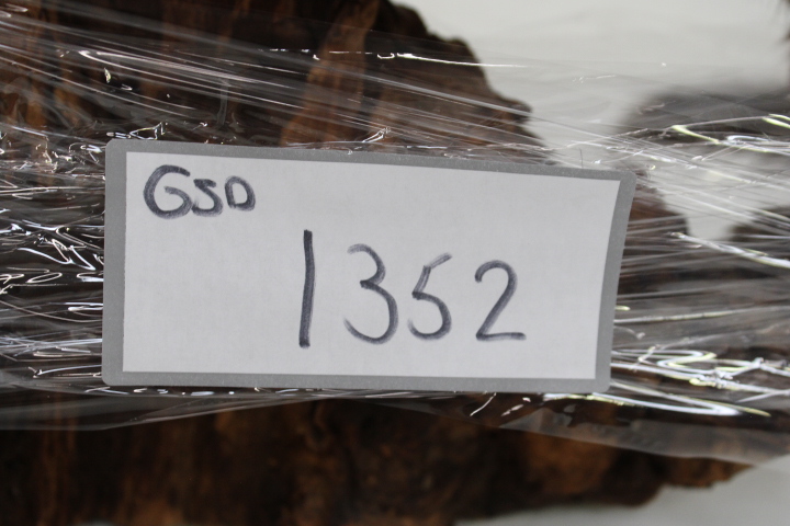 Opgezette marter op houten voet - Taxidermi – foto 20 – kavel bij GSD Auctions, Zoeterwoude