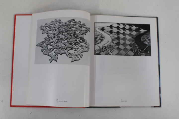 Set van 11 kunstboeken Taschen over diverse kunstenaars – foto 10 – kavel bij GSD Auctions, Zoeterwoude