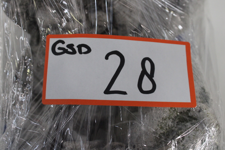 Set van drie tuinbeelden dwergen – foto 22 – kavel bij GSD Auctions, Zoeterwoude