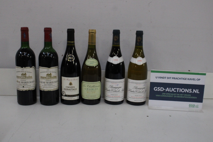 Set van zes verschillende wijnflessen – kavel bij GSD Auctions, Zoeterwoude