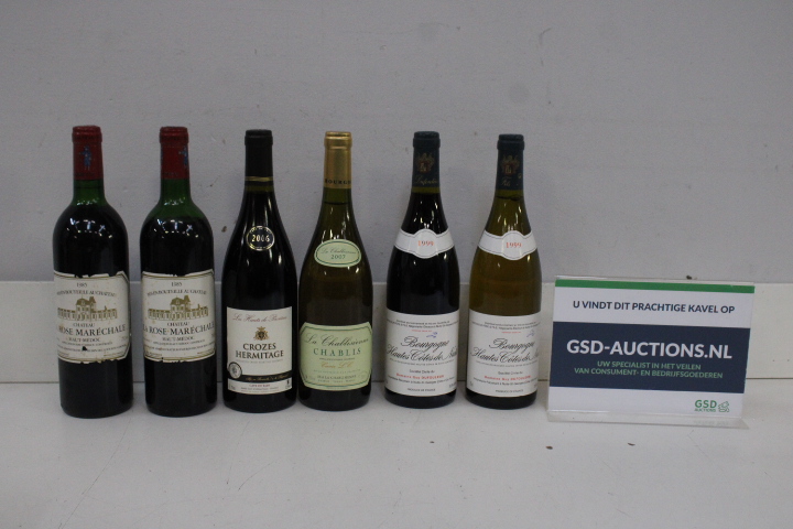 Set van zes verschillende wijnflessen – foto 2 – kavel bij GSD Auctions, Zoeterwoude