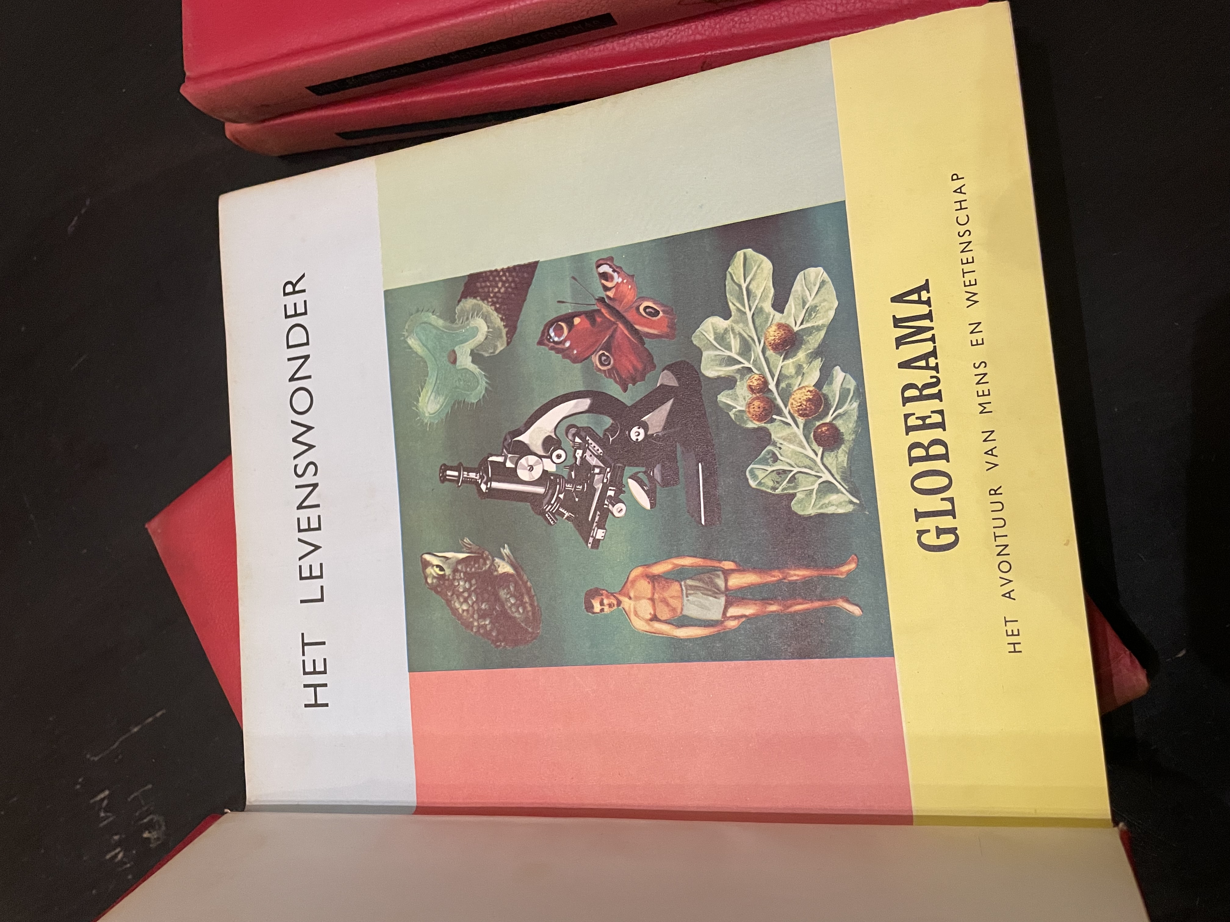 4 boeken Het Avontuur van mens en wetenschap 1961 – foto 5 – kavel bij GSD Auctions, Zoeterwoude