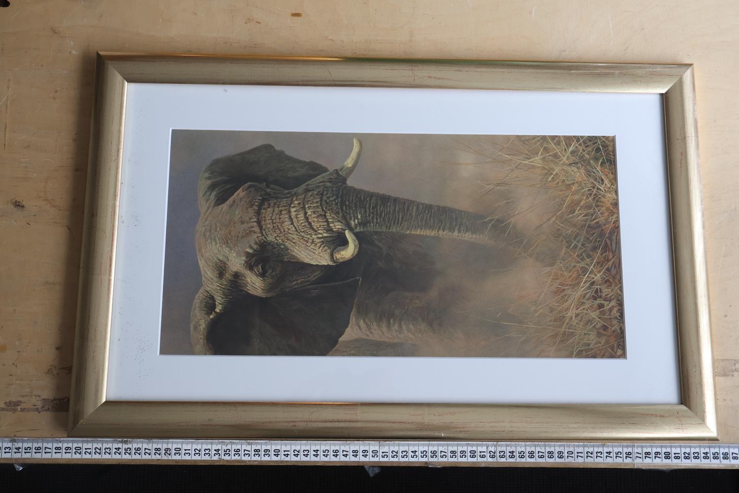 G framed print olifant – foto 4 – kavel bij GSD Auctions, Zoeterwoude