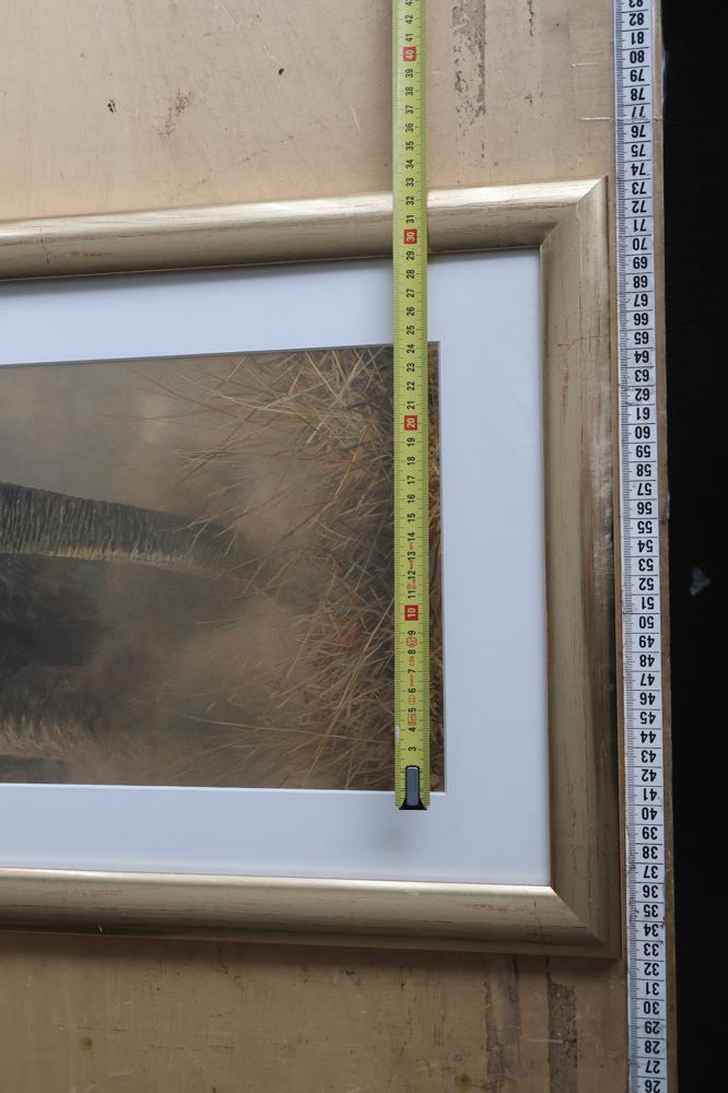 G framed print olifant – foto 5 – kavel bij GSD Auctions, Zoeterwoude