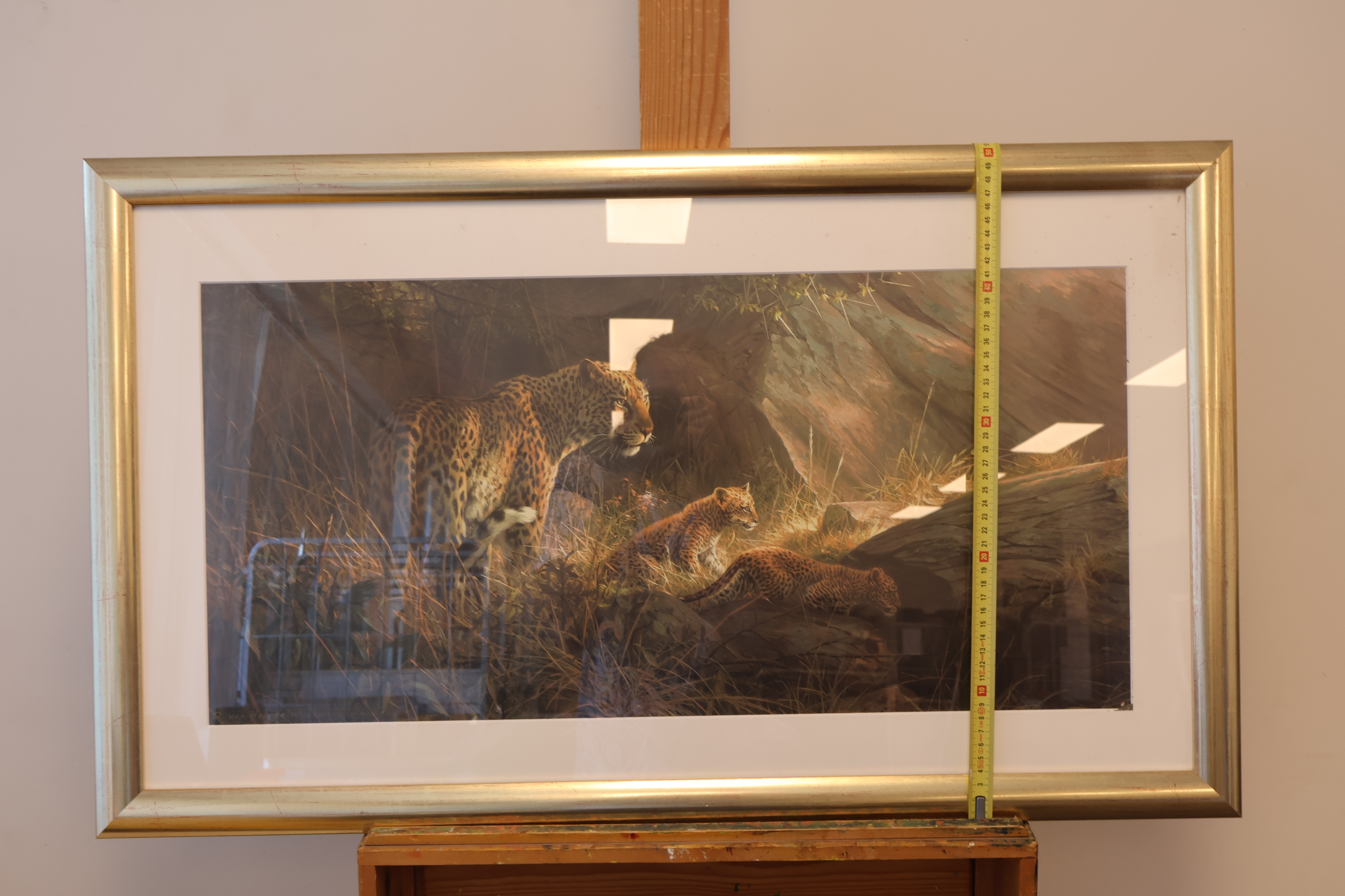 Ingelijste afbeelding van een luipaard met welpen – foto 5 – kavel bij GSD Auctions, Zoeterwoude