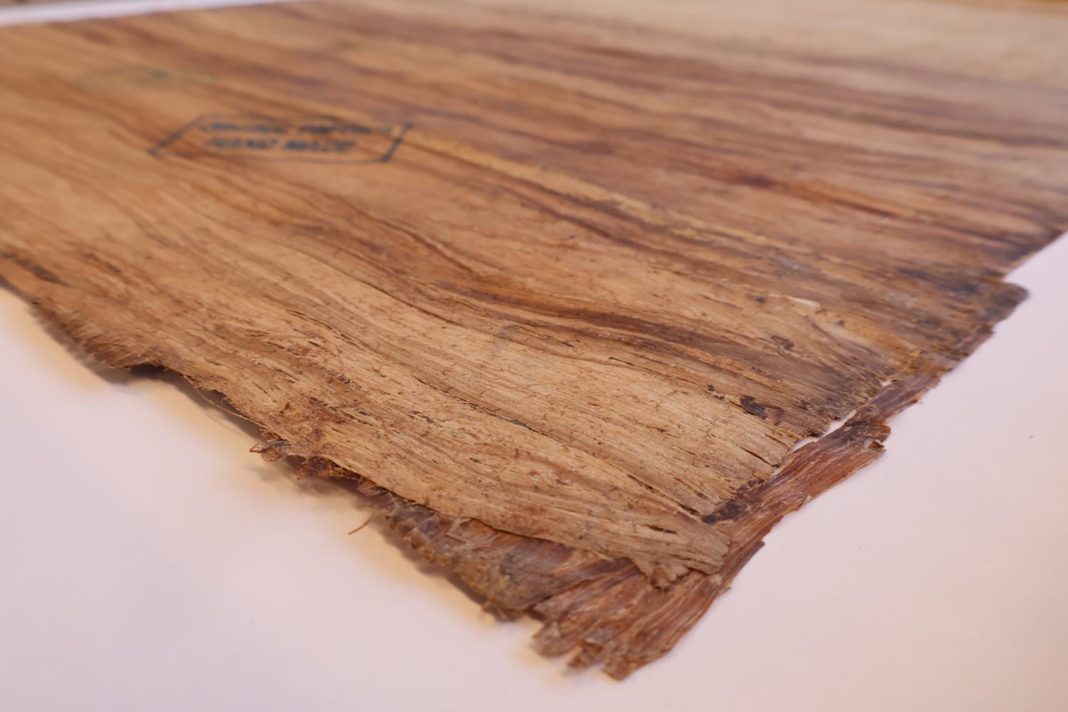 Ingelijste Egyptische papyrus schildering – foto 8 – kavel bij GSD Auctions, Zoeterwoude