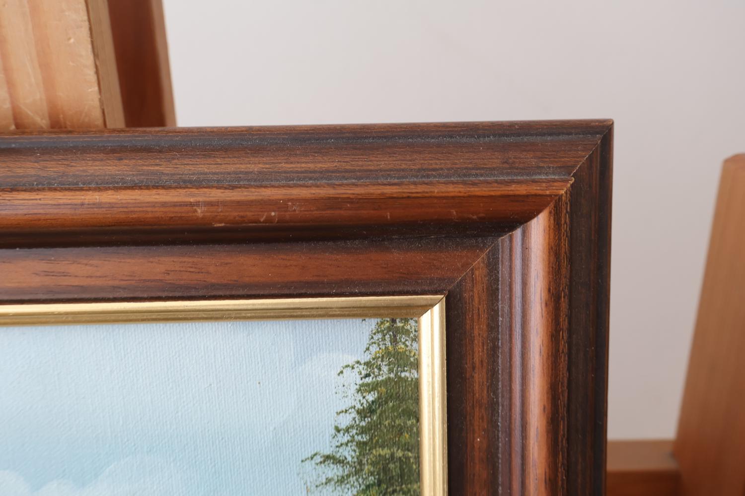Olieverfschilderij met berglandschap in lijst – foto 3 – kavel bij GSD Auctions, Zoeterwoude