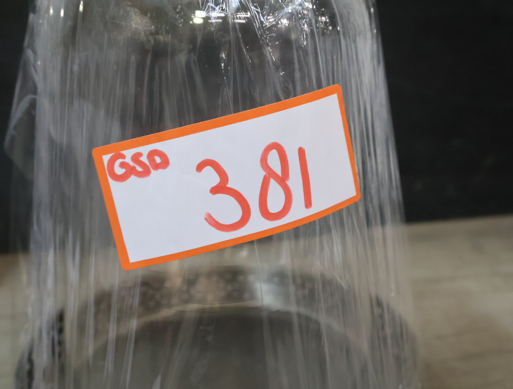 Decoratieve Glazen Stolp – foto 14 – kavel bij GSD Auctions, Zoeterwoude