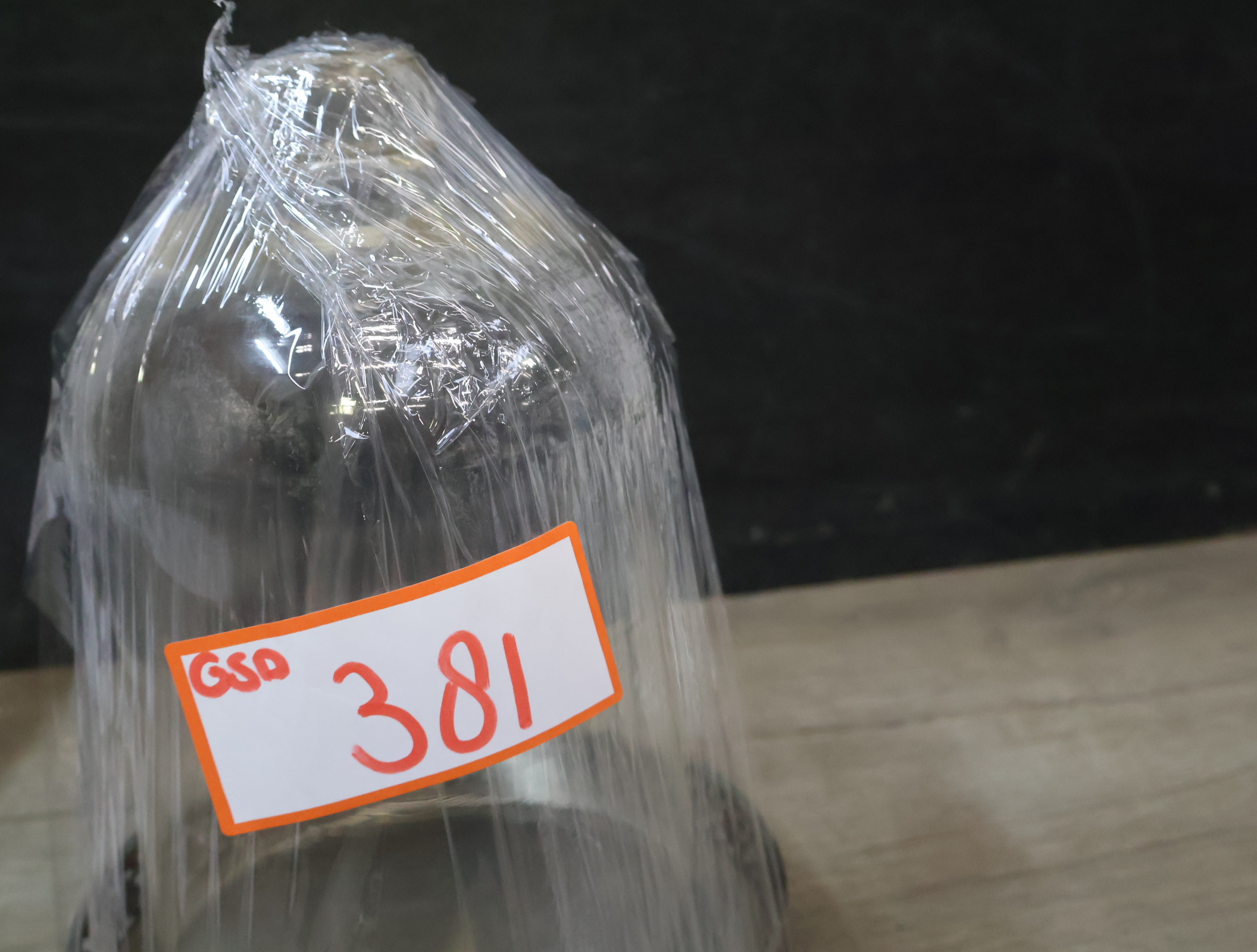 Decoratieve Glazen Stolp – foto 15 – kavel bij GSD Auctions, Zoeterwoude