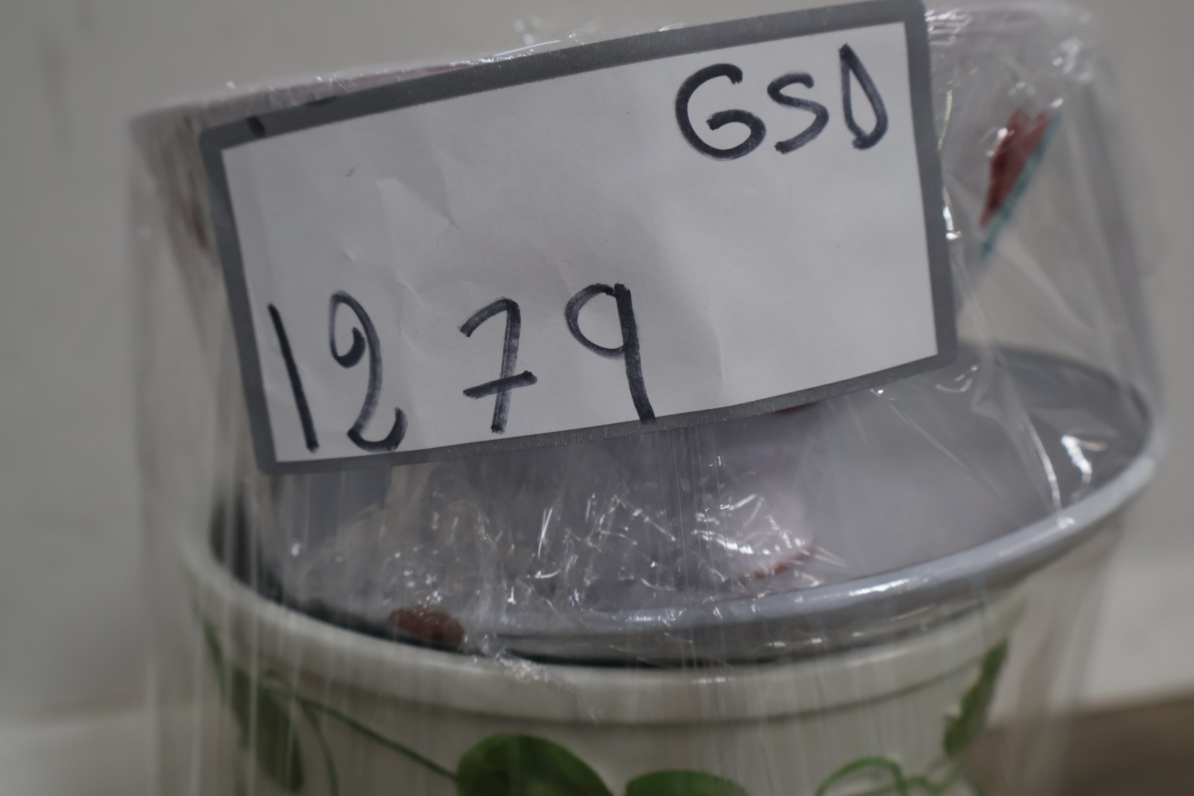 Set van 3 Bloempotten' – foto 16 – kavel bij GSD Auctions, Zoeterwoude