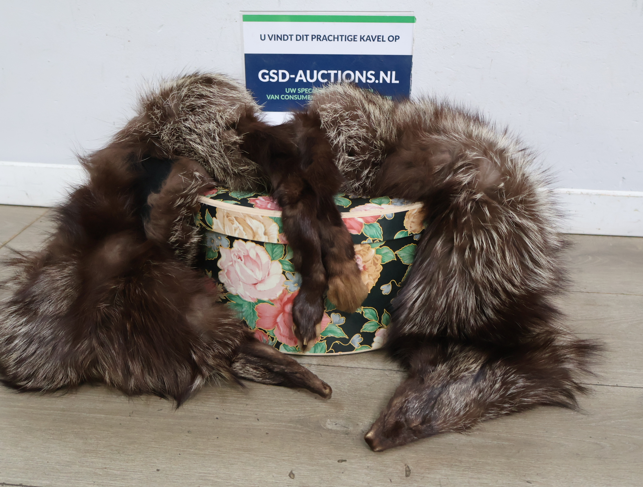 2 bontstola's in opbergdoos – foto 2 – kavel bij GSD Auctions, Zoeterwoude