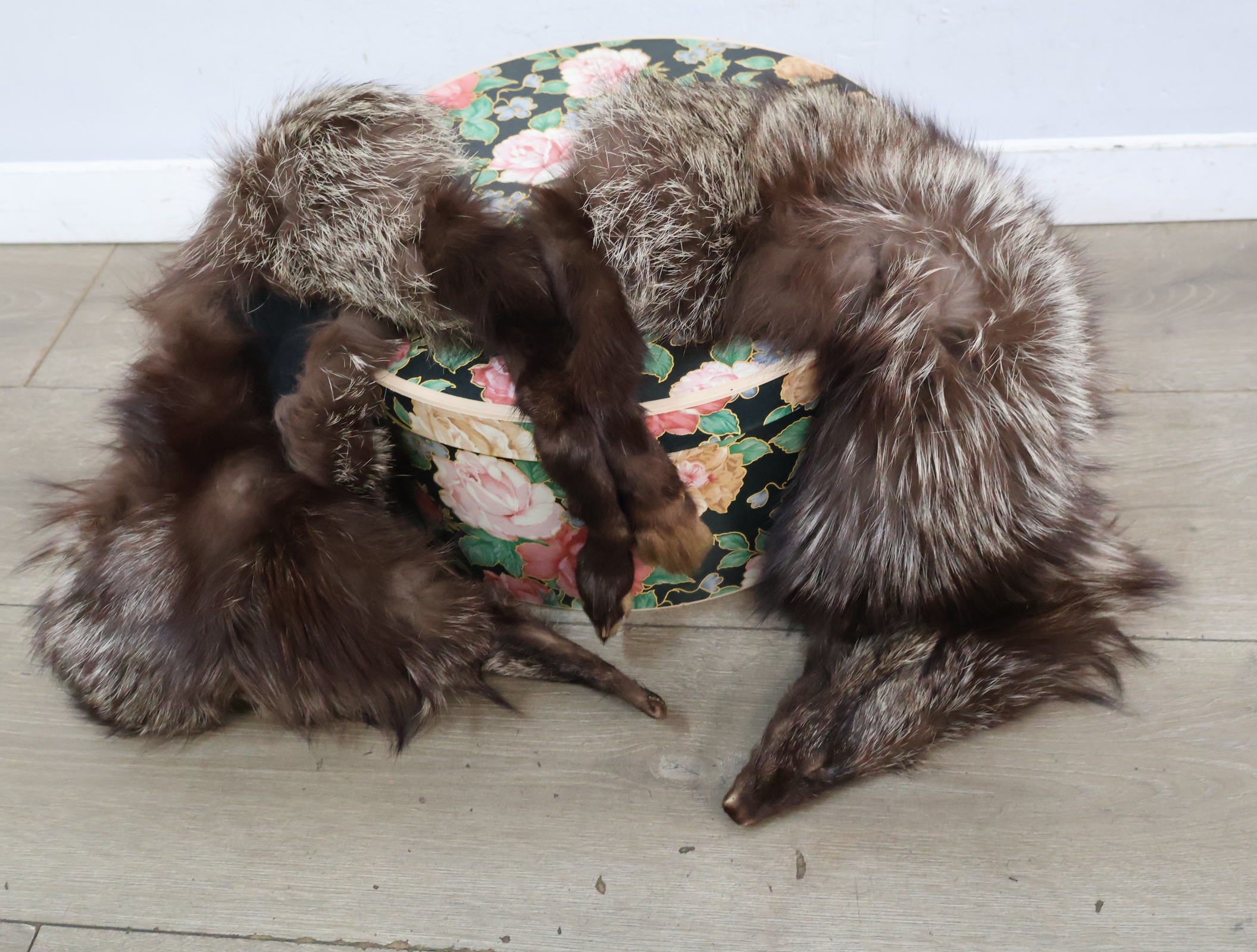 2 bontstola's in opbergdoos – foto 3 – kavel bij GSD Auctions, Zoeterwoude