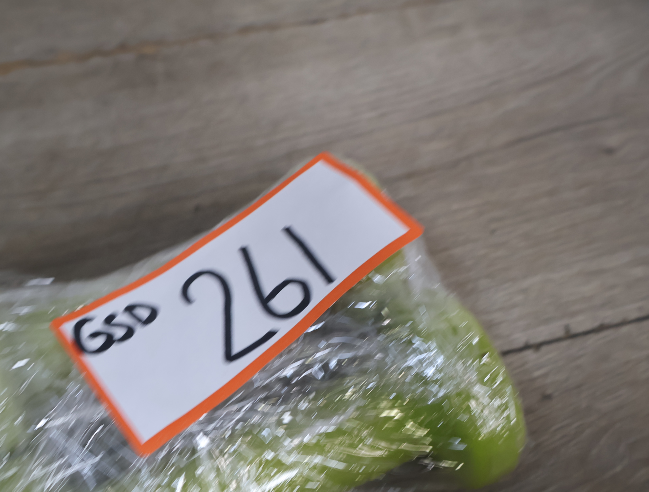 Set groene domyos dumbbells 1 kg – foto 14 – kavel bij GSD Auctions, Zoeterwoude