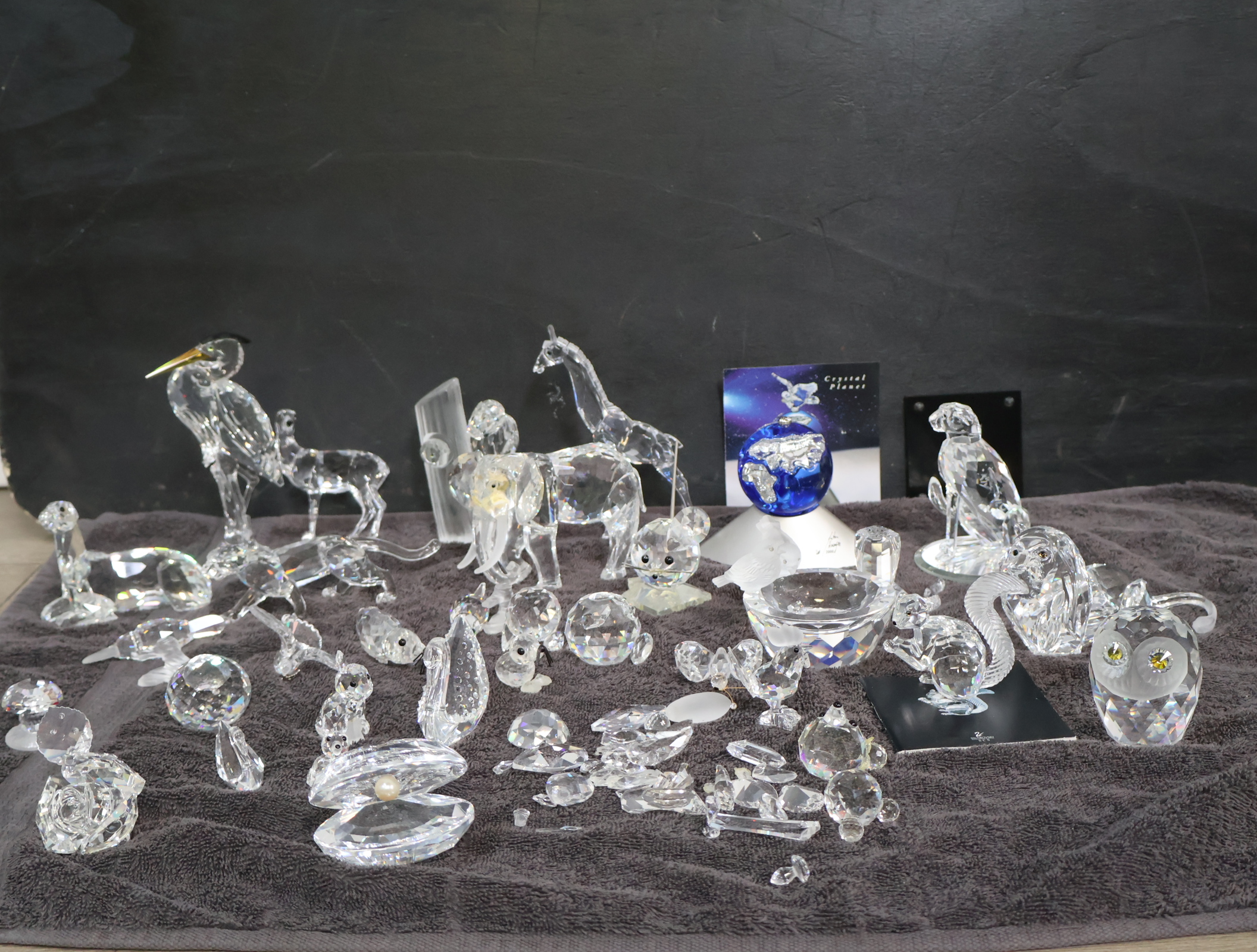 Verzameling swarovski dierenfiguren – foto 5 – kavel bij GSD Auctions, Zoeterwoude