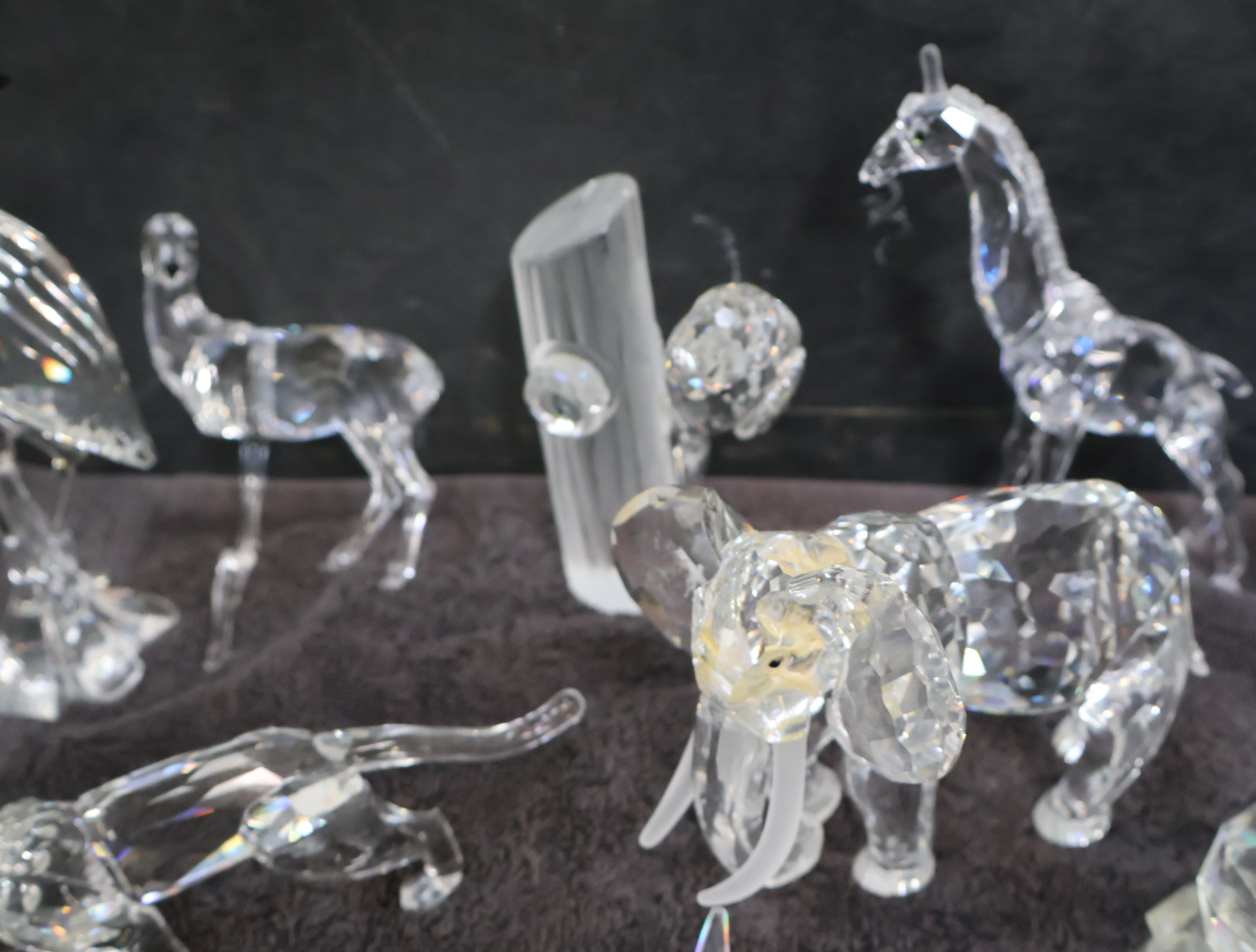 Verzameling swarovski dierenfiguren – foto 12 – kavel bij GSD Auctions, Zoeterwoude