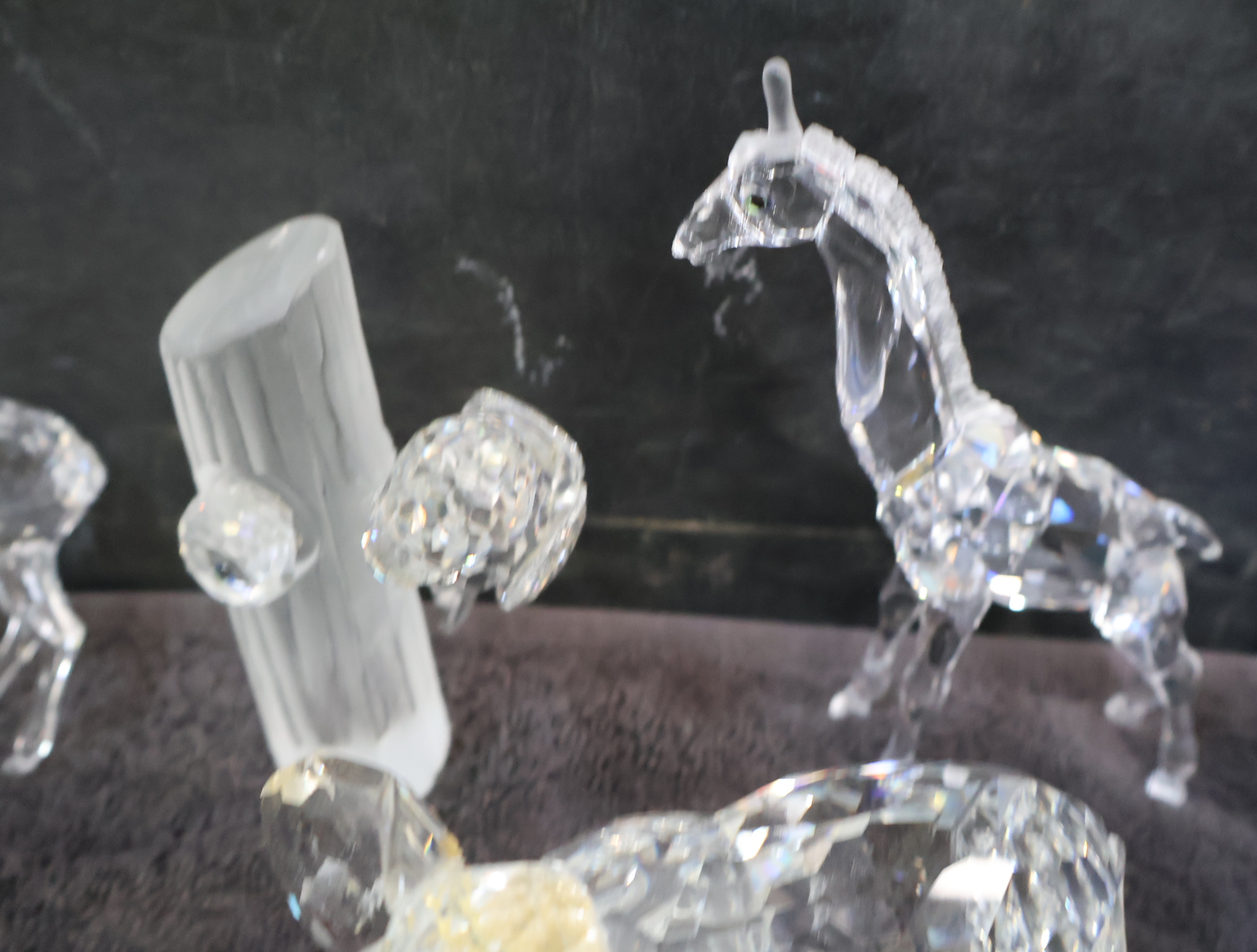 Verzameling swarovski dierenfiguren – foto 19 – kavel bij GSD Auctions, Zoeterwoude