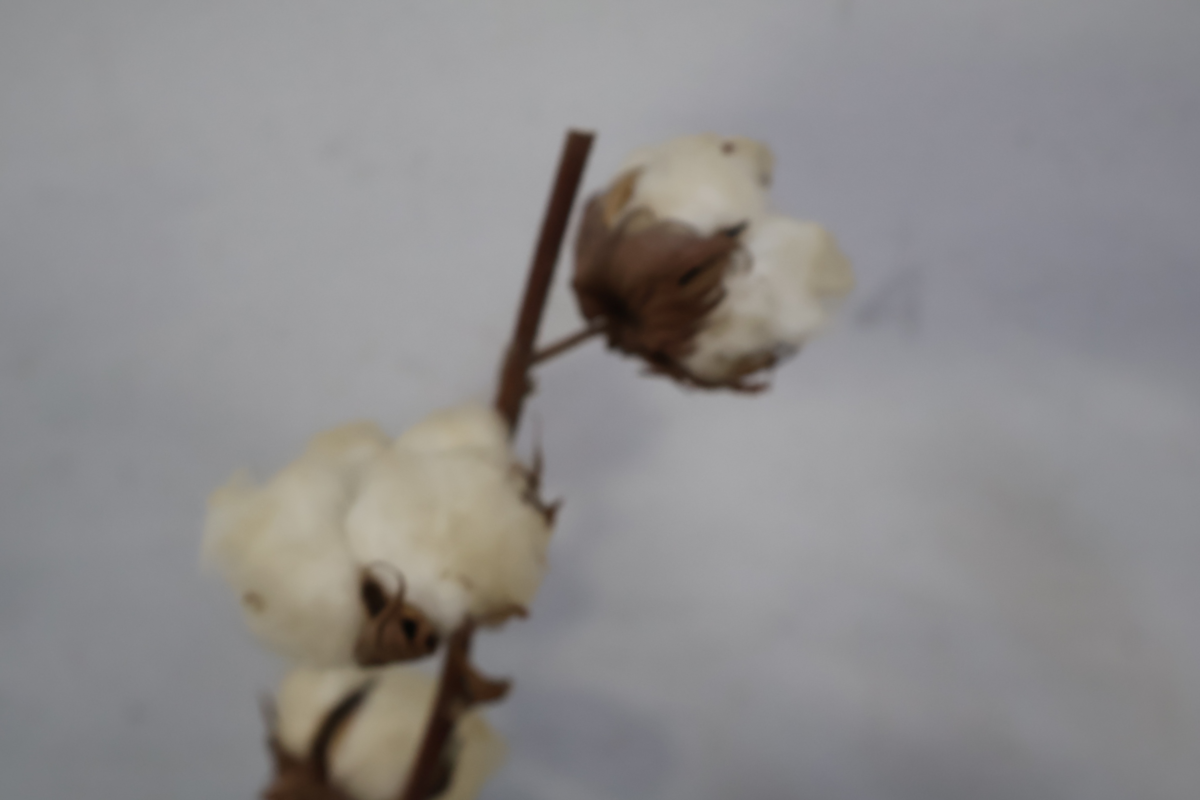 Keramische vaas met bloemenmotief' – foto 5 – kavel bij GSD Auctions, Zoeterwoude