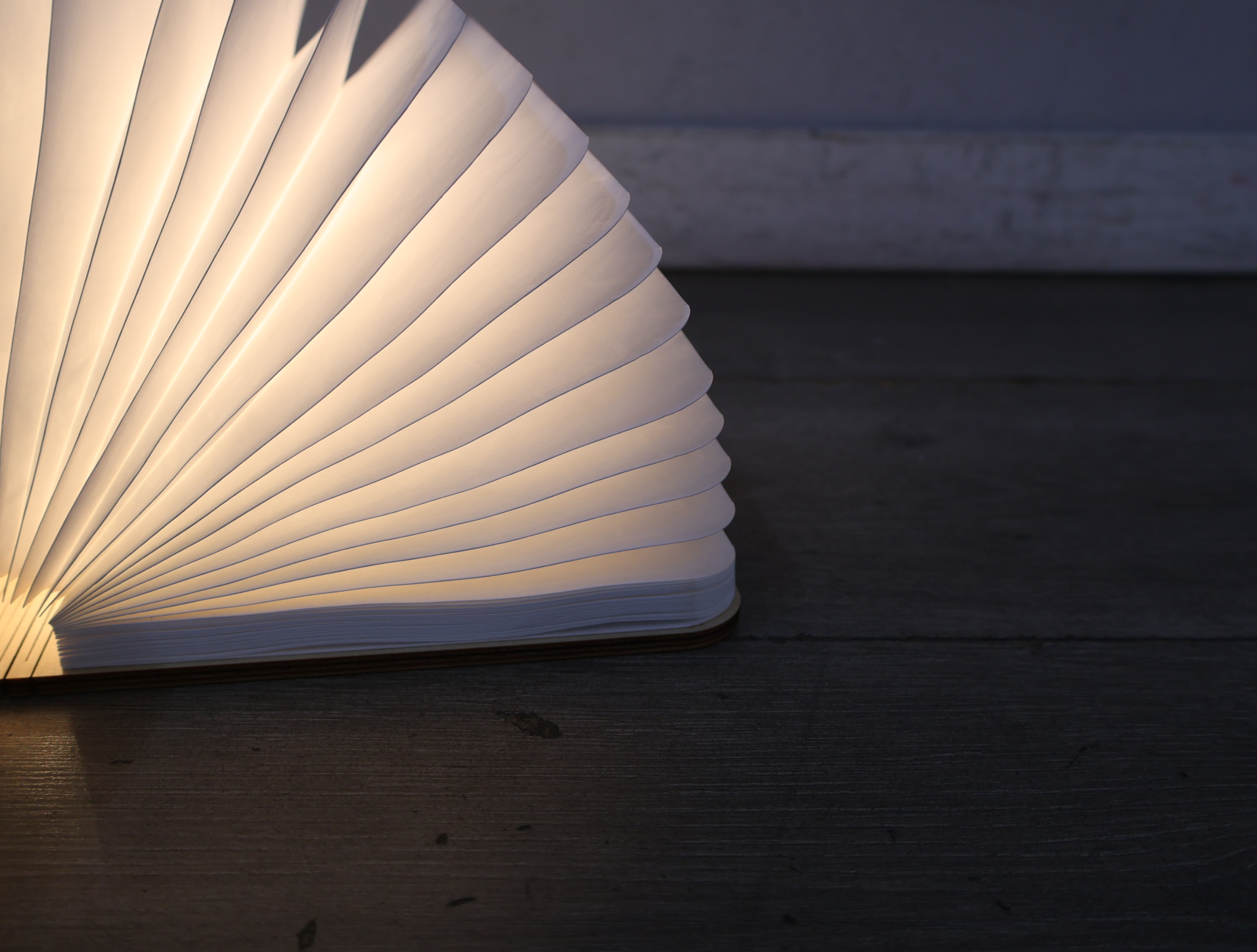 Opengevouwen boeklamp design – foto 15 – kavel bij GSD Auctions, Zoeterwoude