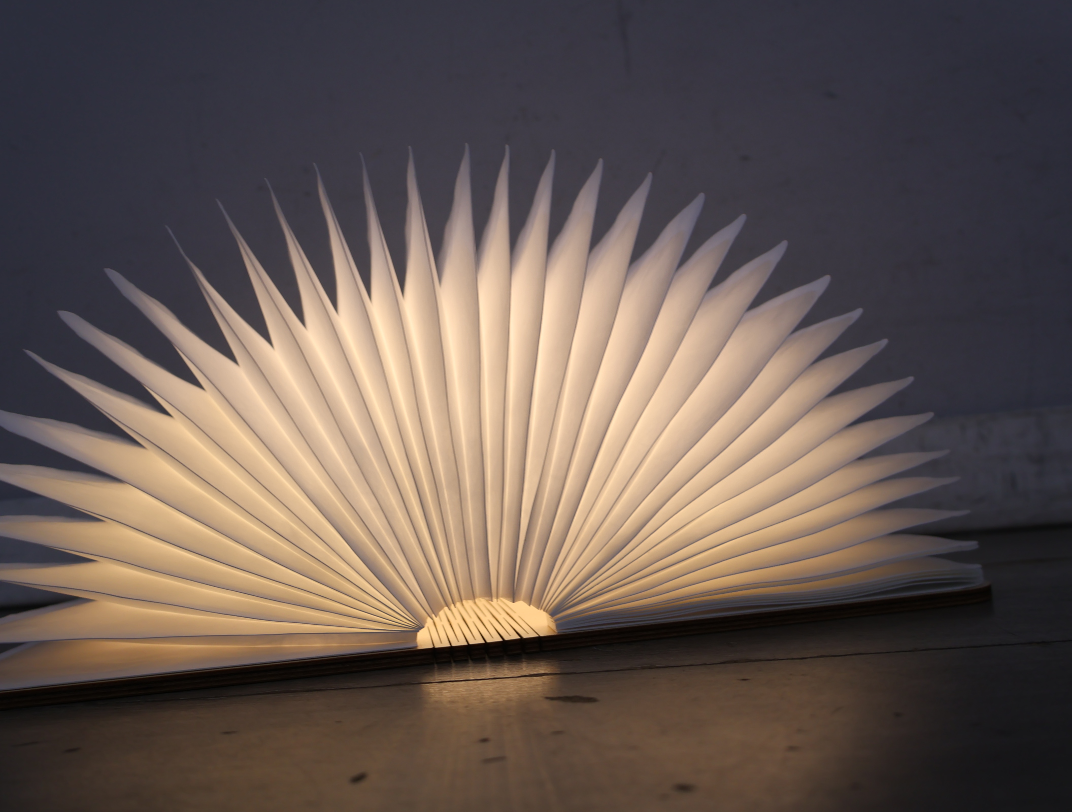Opengevouwen boeklamp design – foto 16 – kavel bij GSD Auctions, Zoeterwoude