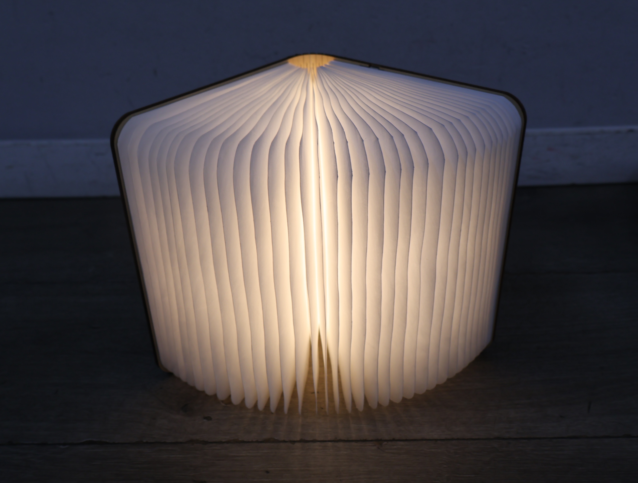 Opengevouwen boeklamp design – foto 19 – kavel bij GSD Auctions, Zoeterwoude