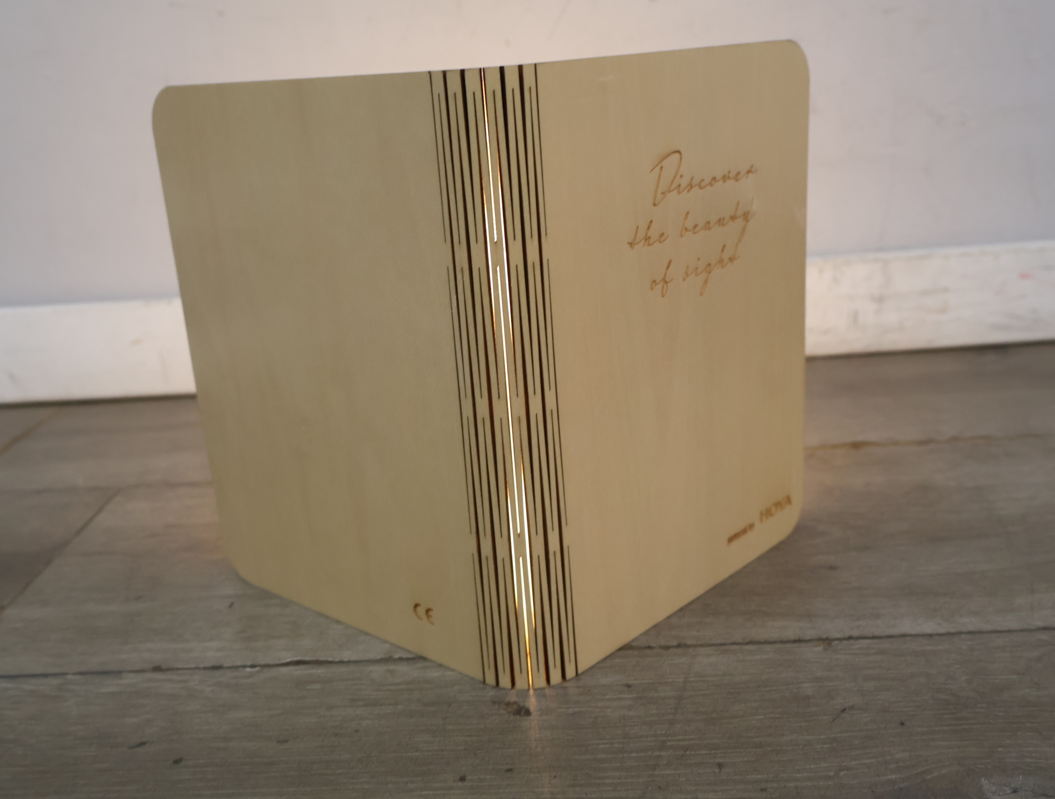 Opengevouwen boeklamp design – foto 21 – kavel bij GSD Auctions, Zoeterwoude