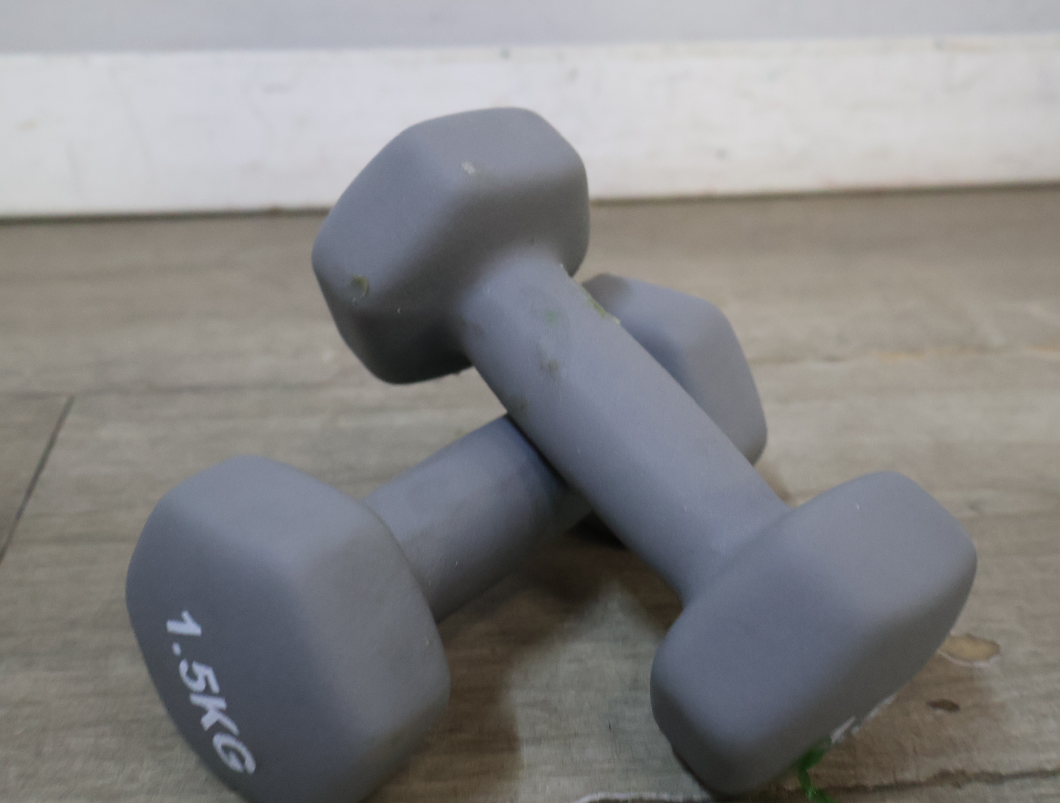 Set van 2 grijze dumbbells 1.5 kg – foto 3 – kavel bij GSD Auctions, Zoeterwoude