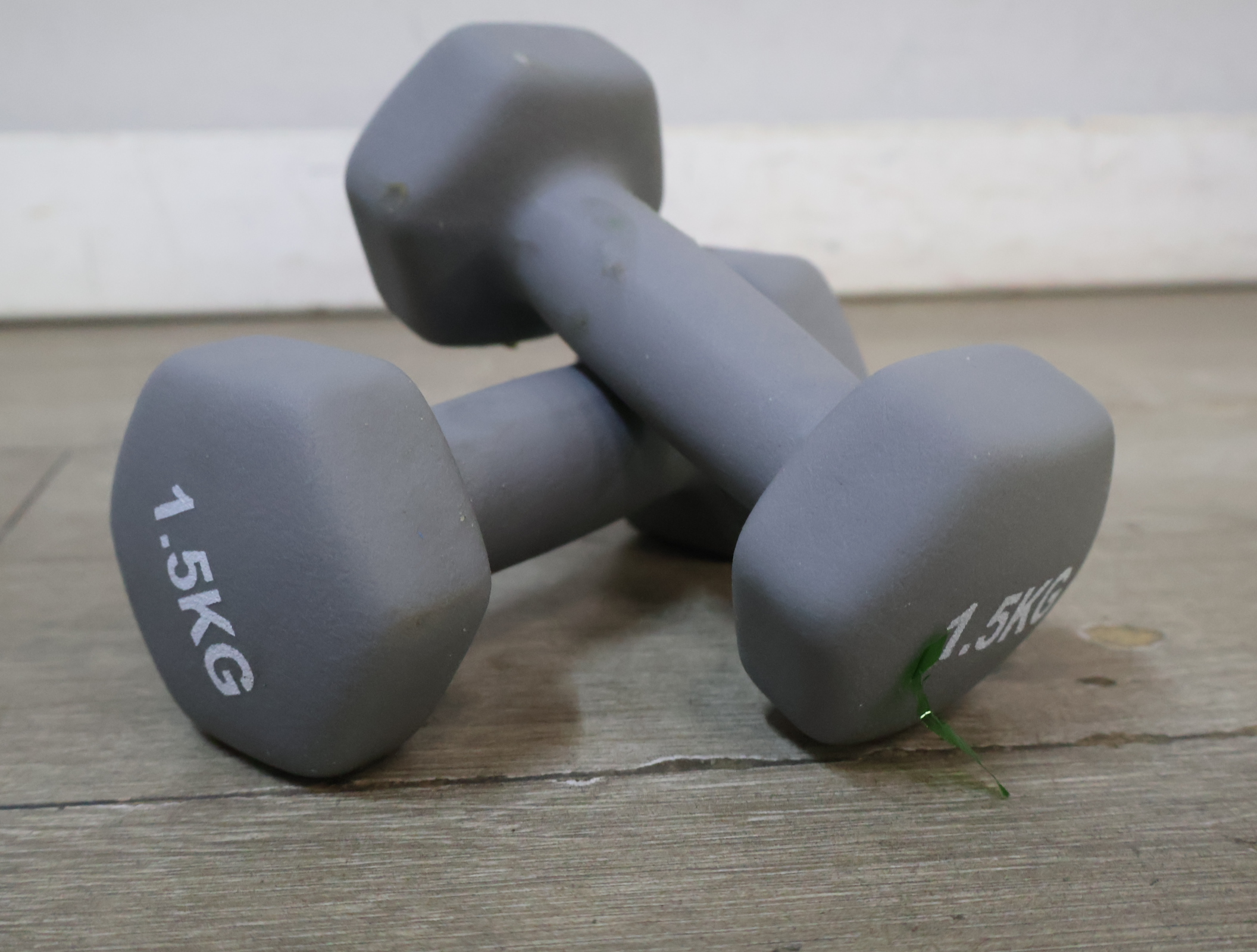 Set van 2 grijze dumbbells 1.5 kg – foto 4 – kavel bij GSD Auctions, Zoeterwoude