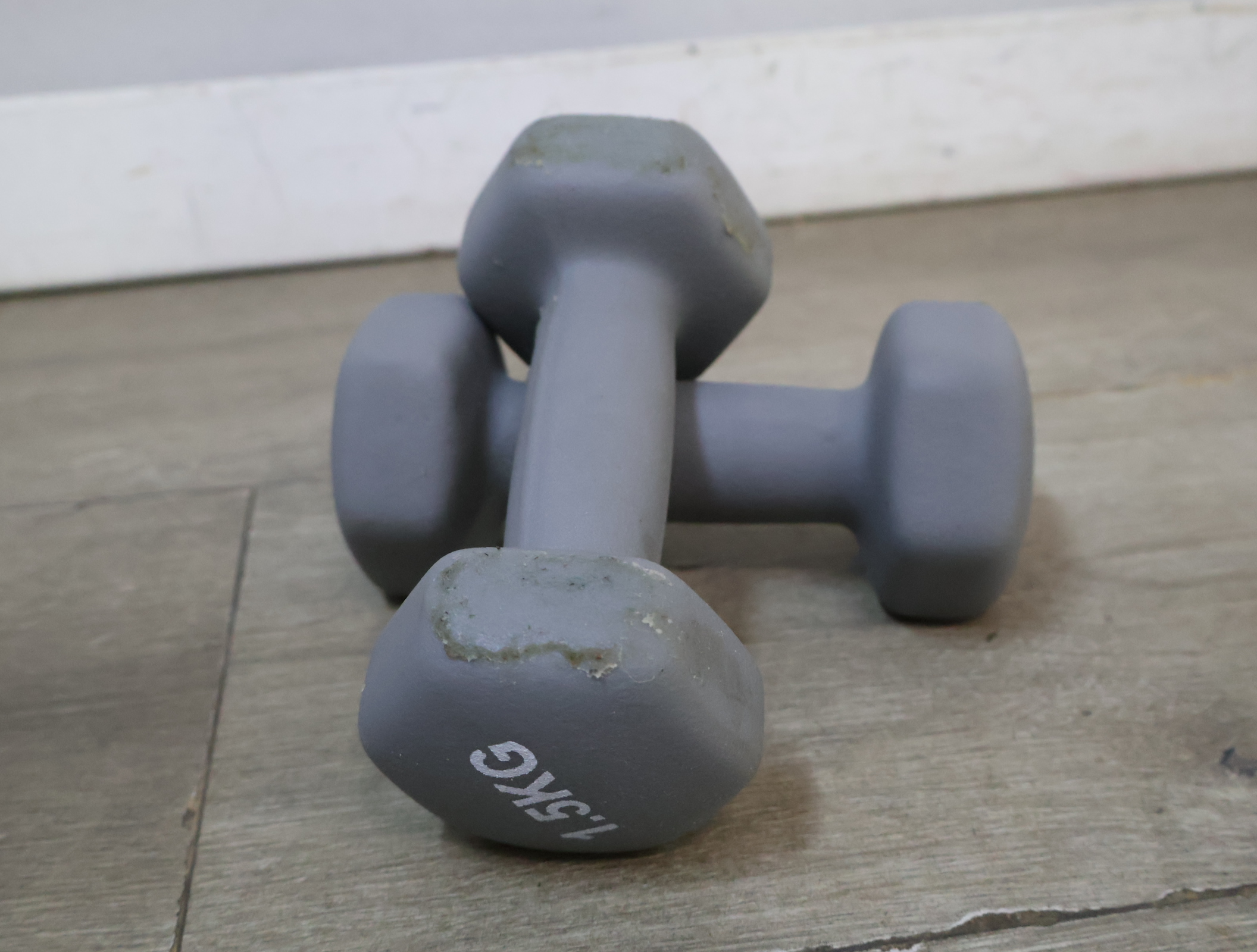 Set van 2 grijze dumbbells 1.5 kg – foto 5 – kavel bij GSD Auctions, Zoeterwoude