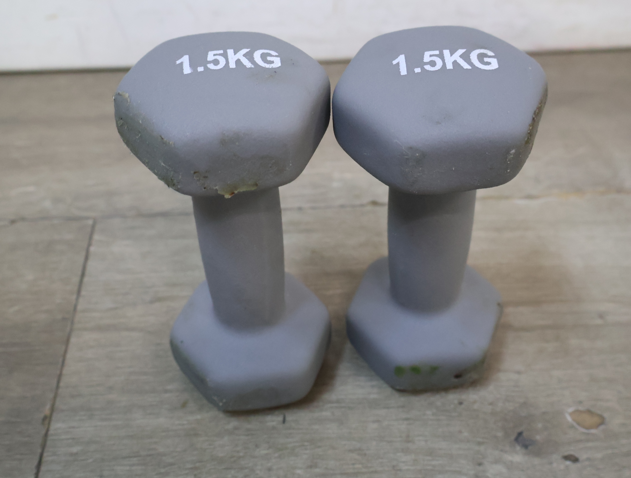 Set van 2 grijze dumbbells 1.5 kg – foto 6 – kavel bij GSD Auctions, Zoeterwoude