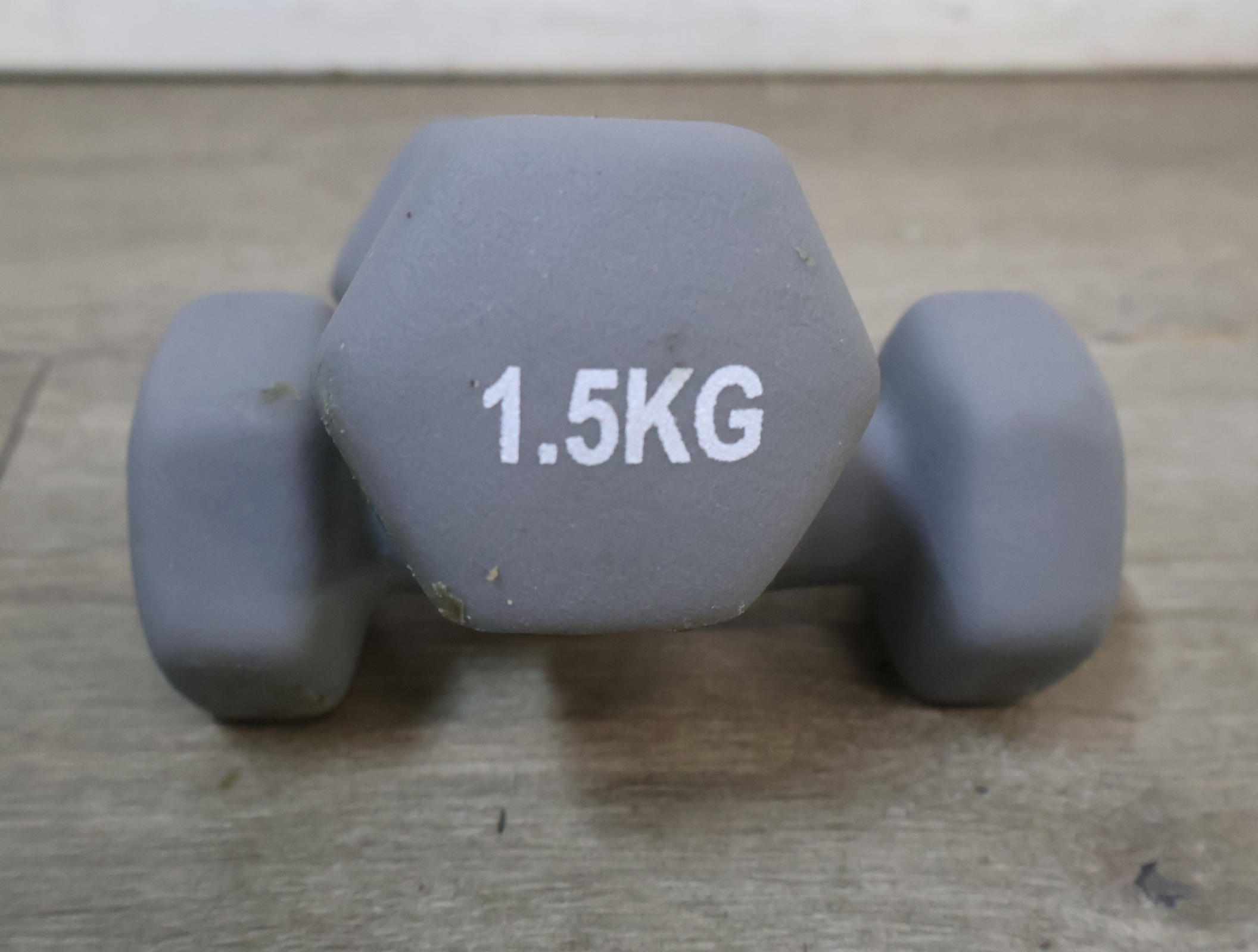 Set van 2 grijze dumbbells 1.5 kg – foto 9 – kavel bij GSD Auctions, Zoeterwoude