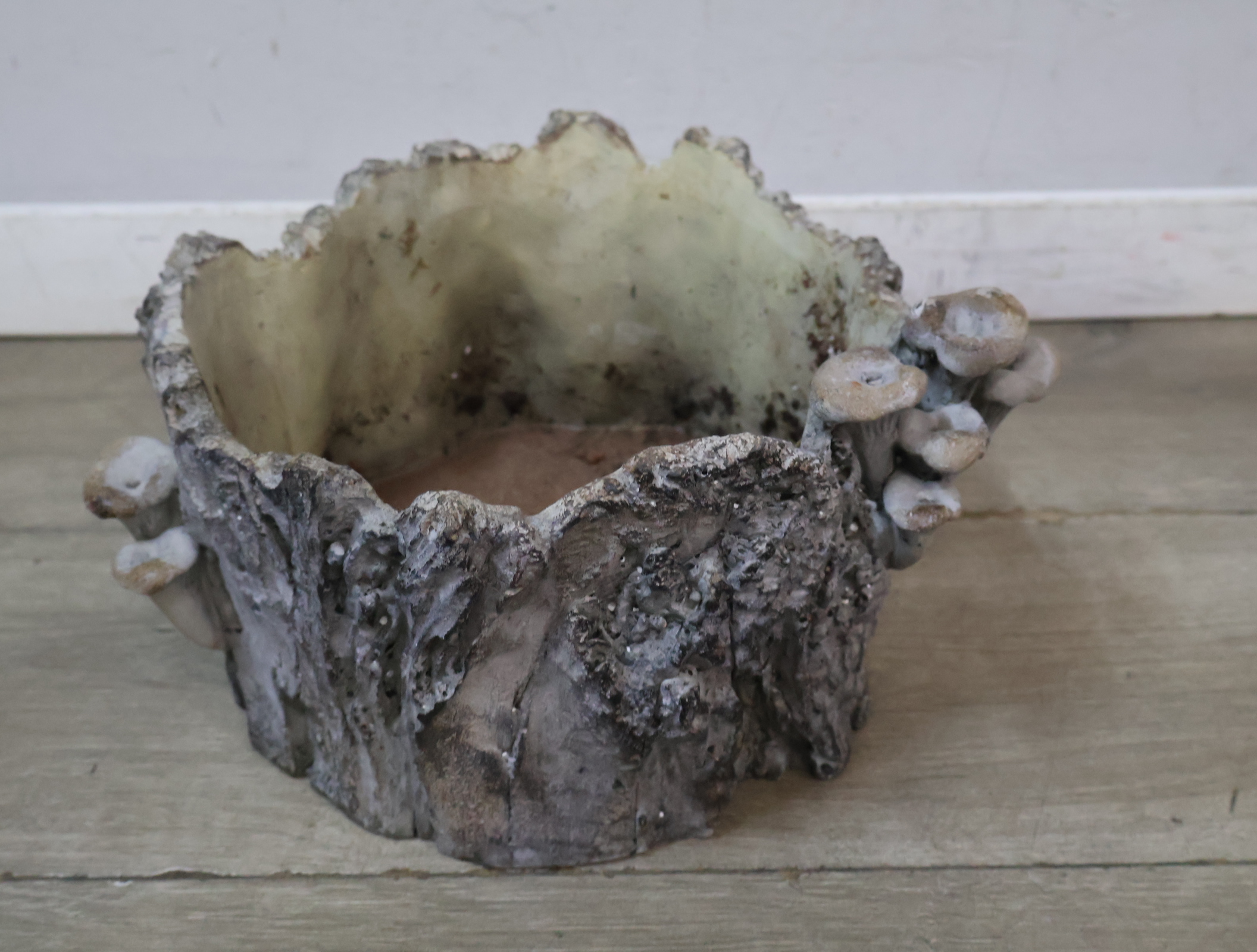 Decoratieve plantenbak boomstronk met paddenstoelen – foto 8 – kavel bij GSD Auctions, Zoeterwoude