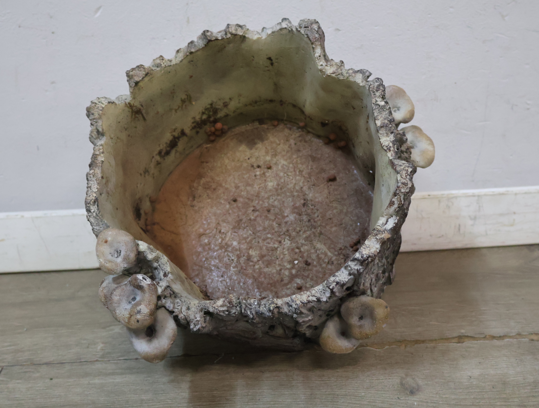 Decoratieve plantenbak boomstronk met paddenstoelen – foto 11 – kavel bij GSD Auctions, Zoeterwoude