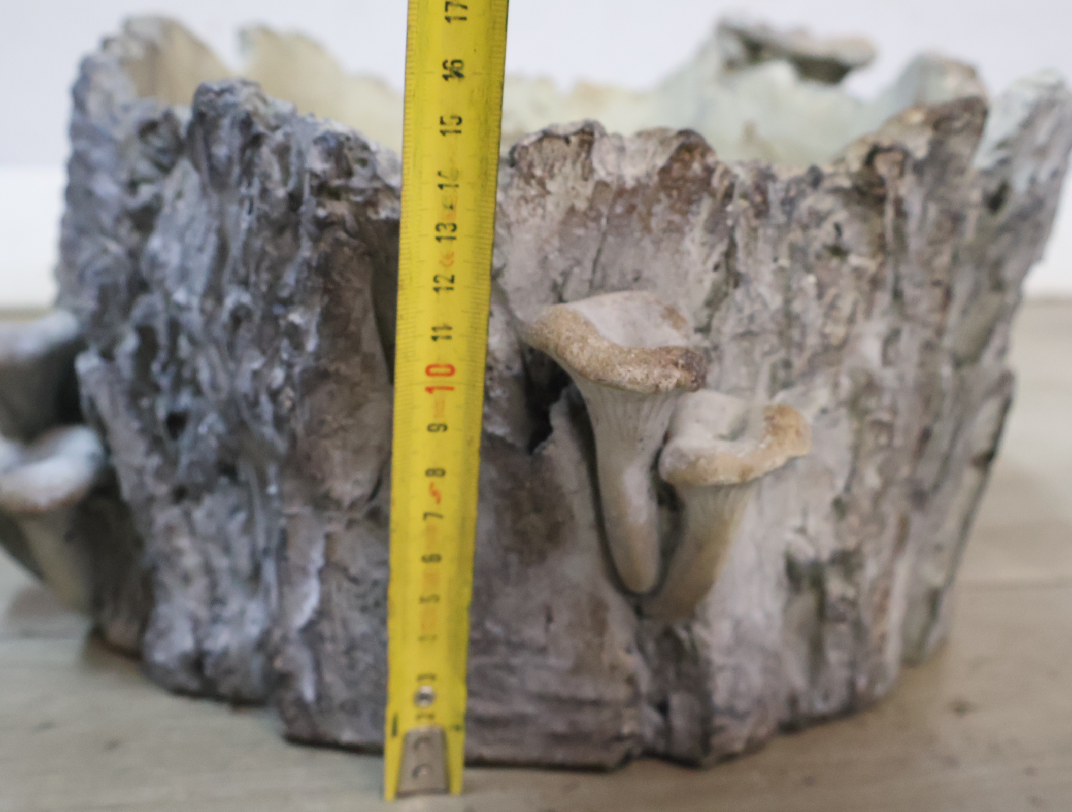 Decoratieve plantenbak boomstronk met paddenstoelen – foto 14 – kavel bij GSD Auctions, Zoeterwoude